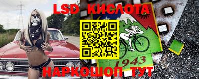 СК Ярославль