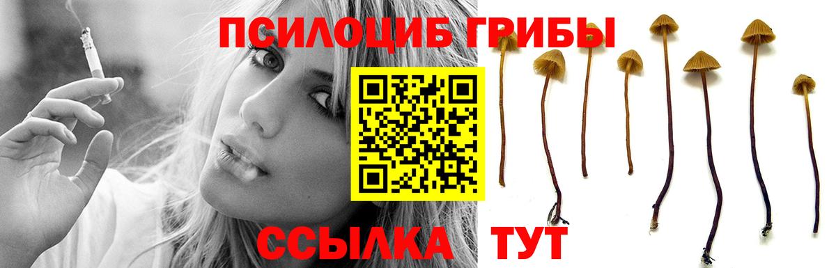 Галлюциногенные грибы ЛСД  Псилоцибиновые грибы мицелий  Людиново  Вход с VPN 