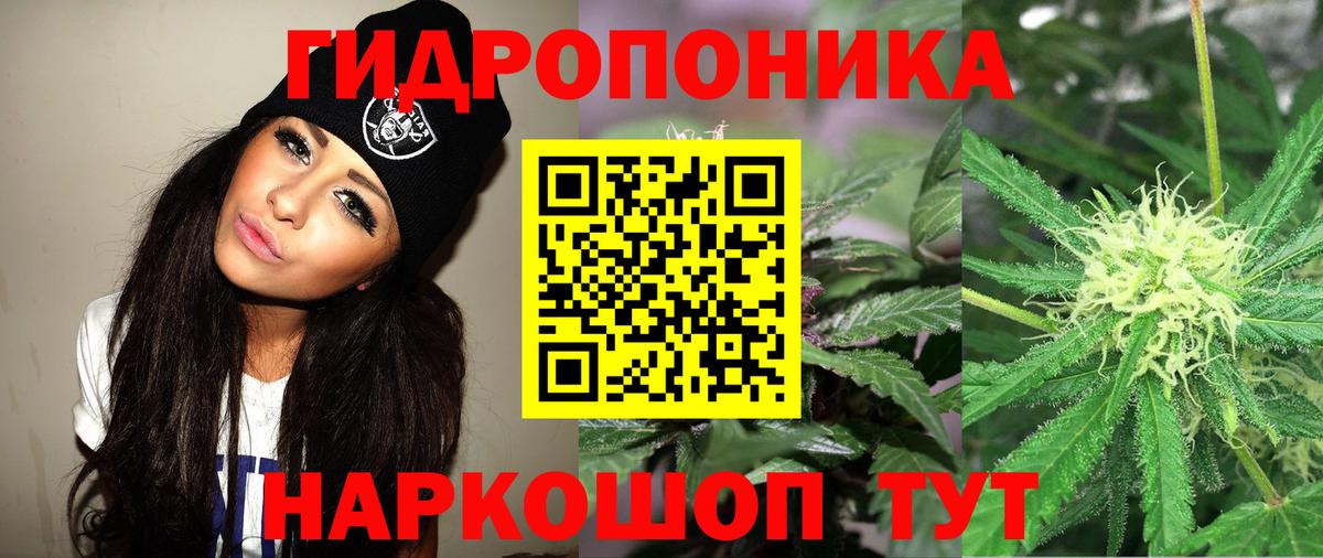 Канабис сатива  Вход с VPN  Бошки Шишки AK-47  Шишки марихуана SATIVA & INDICA  Людиново  Канабис SATIVA & INDICA 
